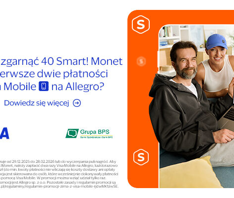 Visa Allegro baner mały