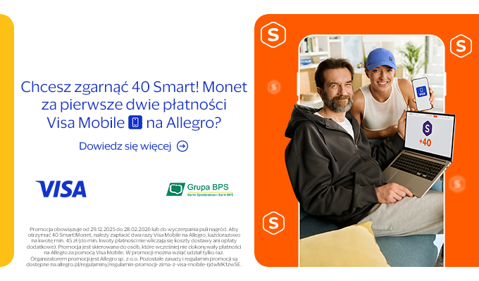 Visa Allegro baner mały